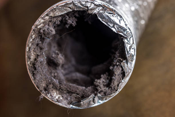 Best Commercial Air Duct Cleaning  in Logansport, LA