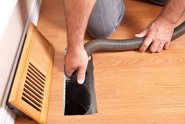 Best Air Duct Mold Removal  in Logansport, LA