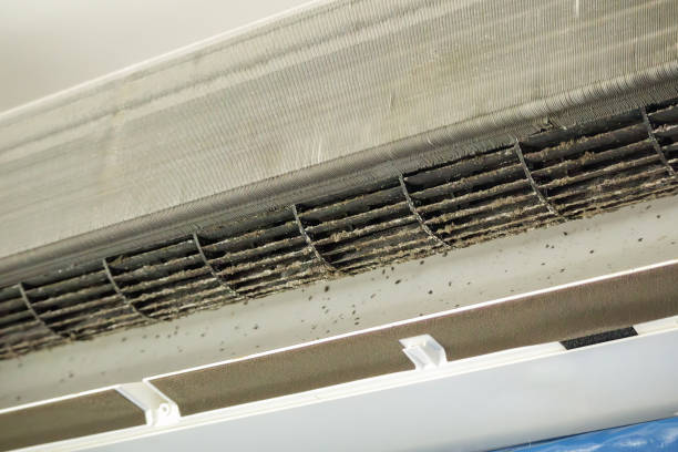 Best Home Air Vent Cleaning  in Logansport, LA